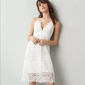 Bardot white Versailles slipdress cocktail dress